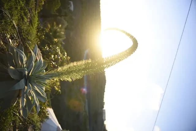 Retreat Andalusien 2026 – Meditation & Achtsamkeit
