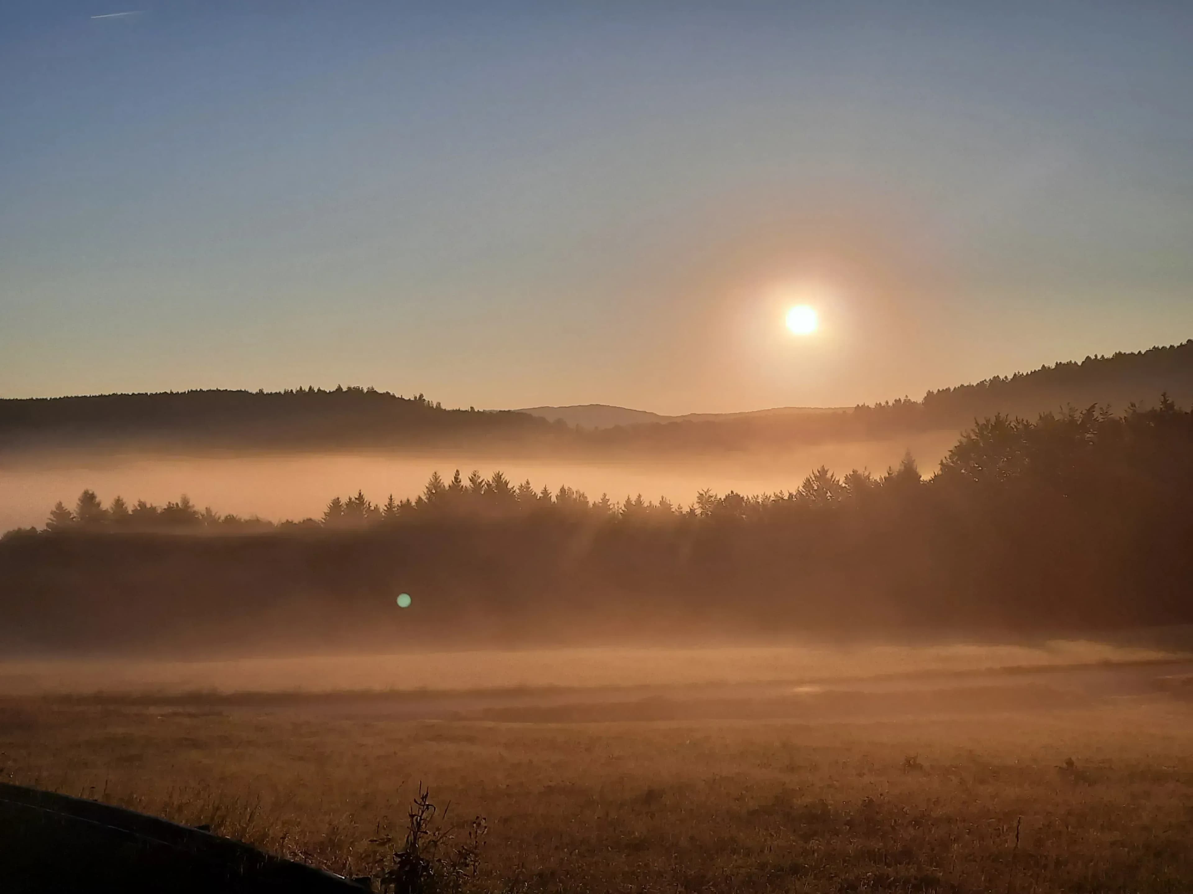 Detox Retreat für Frauen in Bayern
