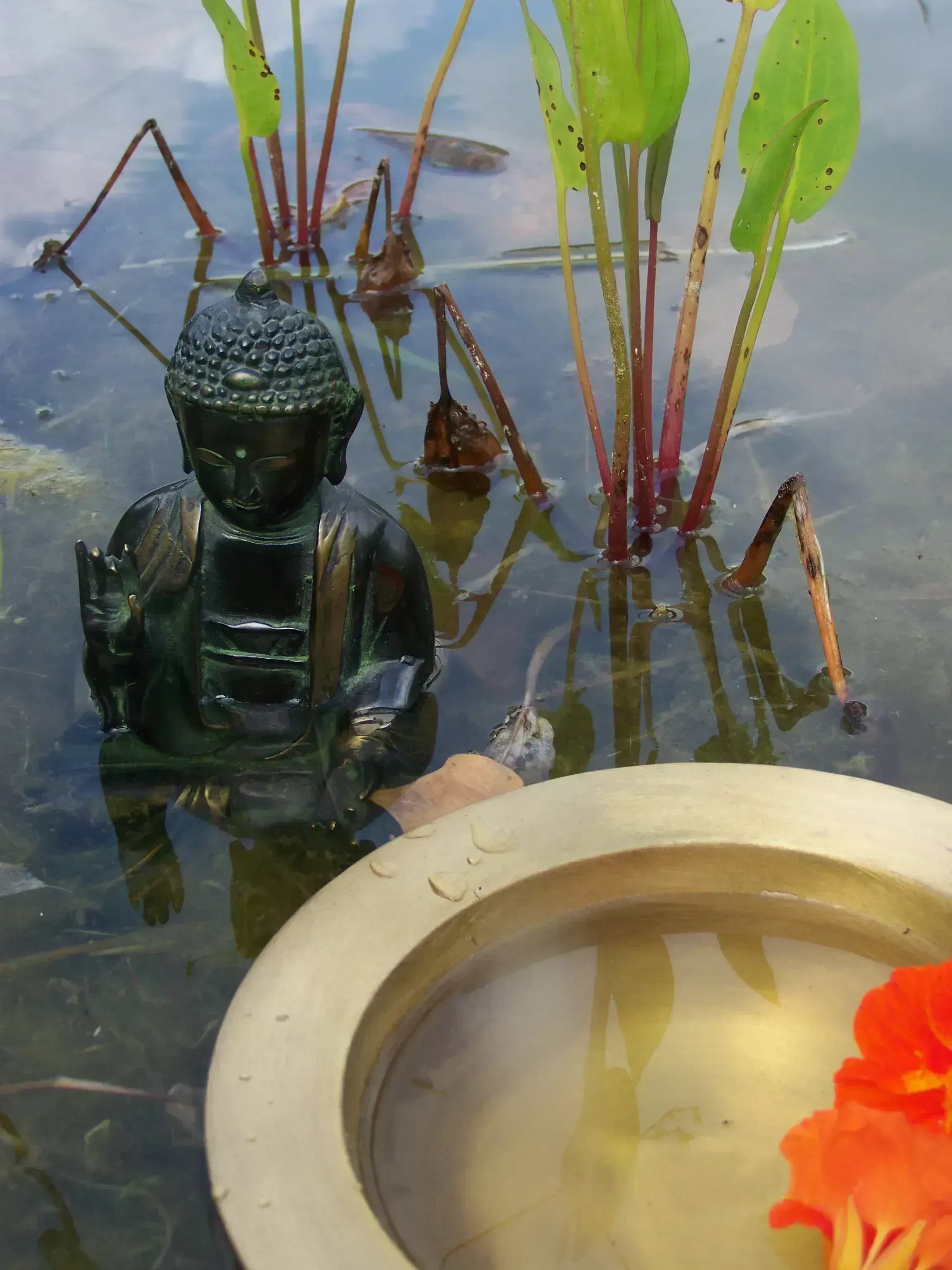 Traditionelle Chinesische Medizin bei Stressbewältigung