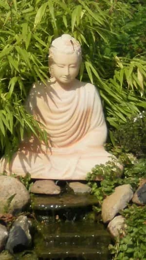 Individuelle chinesische Kräutertherapie in Deutschland